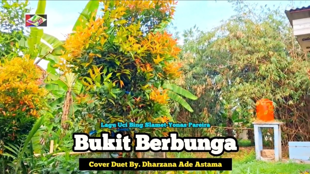 Bukit Berbunga - Dharzana Ade Astama Cover