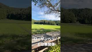 【滋賀・米原】観光地のすぐそばに広がる、秋の田んぼ風景