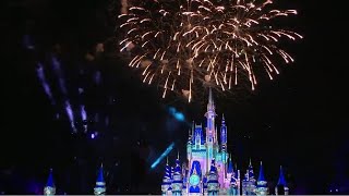 Fight over Disney fireworks show leaves woman suffering 'bleeding on brain,' deputies say