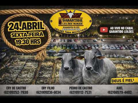 GARANTIDO LEILÕES RURAIS - RIANÁPOLIS-GO