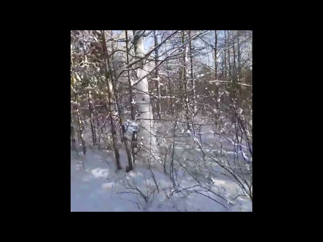 Азнакайлылар ялларны файдалы уздыра