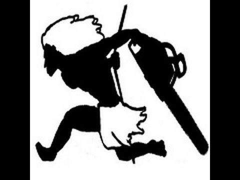 Falling snags on the Glacier Rim Fire, July, 2015