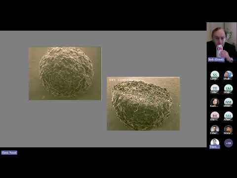 Distinguished Seminar Series | Professor Robert Langer