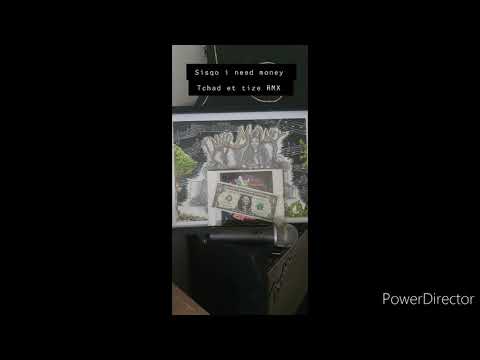 Sisqo - i need money