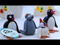 Pingu S Birthday Pingu Official 1 Hour Cartoons For Kids