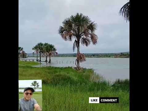 Clipe ao vivo lagoa formosa Goiás cantor irmão paulista música Deus cuida de mim senhor se escreve 