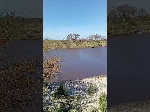 costa pora! pueblo libertador