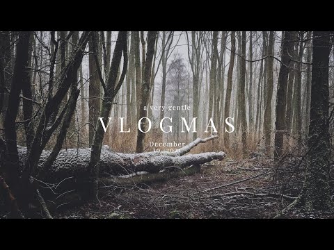 A very gentle vlogmas — December 10, 2021