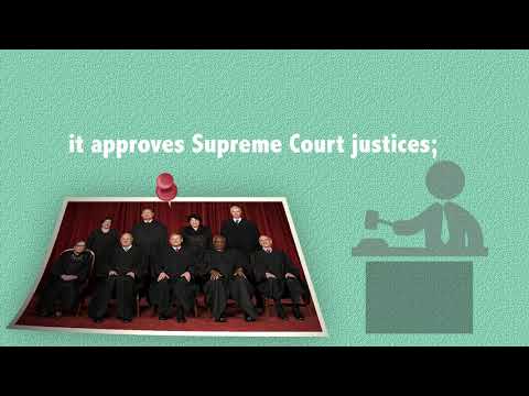 アメリカ議会 (The United States Congress)