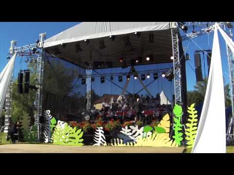 ZELMERI PRO - Ozolnieku novada svētki 2017 - Aktieru Zaļumballē