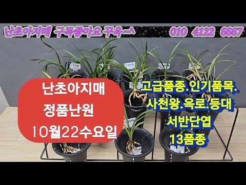 유튜브 썸네일