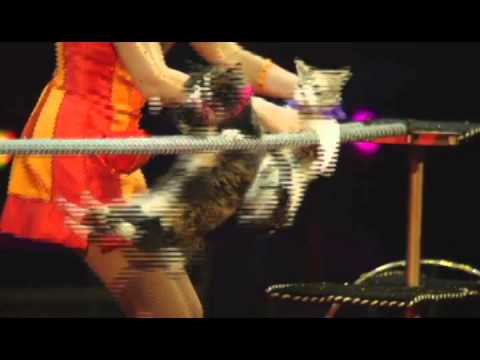 Ringling Bros. Presents Dragons - Fantastic, Furry and Full of Heart