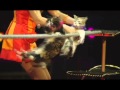 Ringling Bros Presents Dragons Fantastic Furry And Full Of Heart