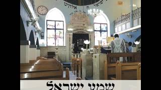 אלי פרידמן שמע ישראל | Eli Friedman