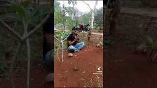 Download lagu Doa Kubur mp3