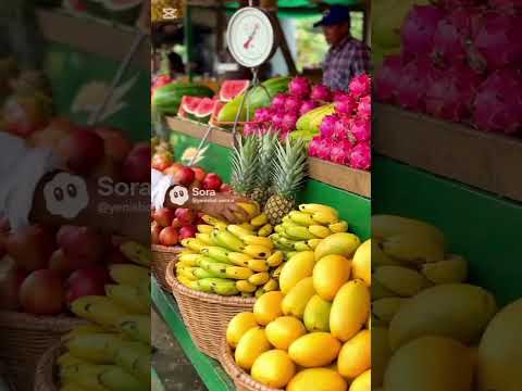 Coronado, San José Costa Rica