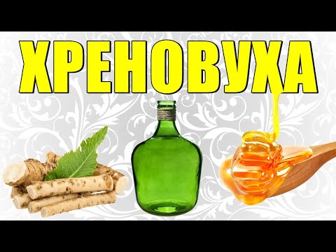 Russian tincture - Horseradish root