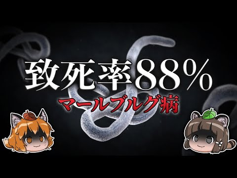 研究室からのウイルス:エボラ出血熱のような病原体は3日以内に死滅する