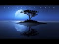 Serenity Moon - Calm Solo Piano - Michael Allen Harrison