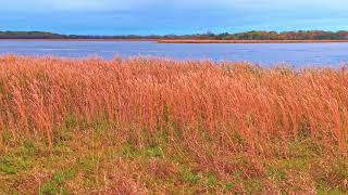 Let's Decide If Cloudy Skies Are Relaxing - October 21 2025