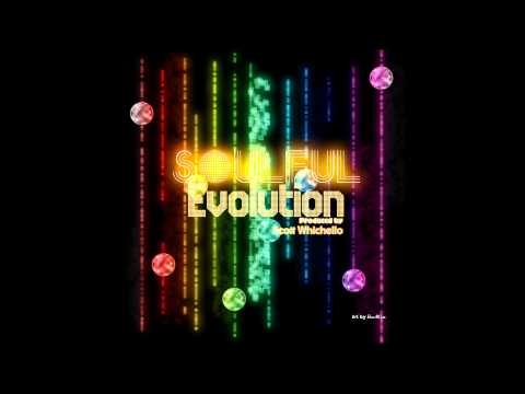 Soulful Evolution March 16th 2012 Weekly Soulful House Show HD-2012 Miami WMC 2 Hr Special! (8)