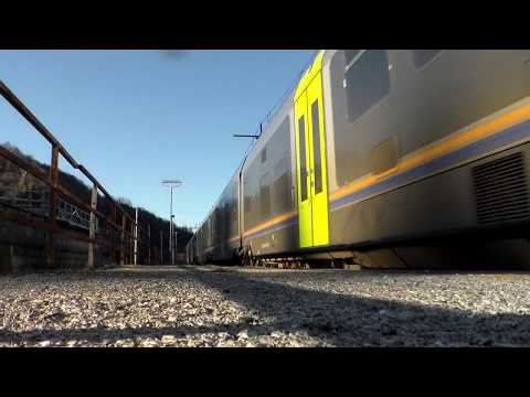 MINUETTO D. IN DOPPIA IN TRANSITO A ROBILANTE. (CN) 3 - 1 - 2019