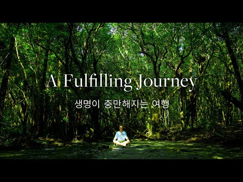 [야쿠시마 섬 | Yakushima] A Fulfilling Journey | 생명이 충만해지는 여행 [Documentary] [4K]