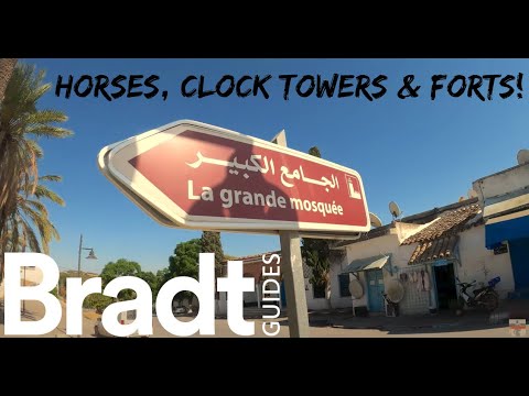 The breadbasket of Tunisia: Explore Béja, Testour & Aïn Tounga (Tunisia travel VLOG تونس)