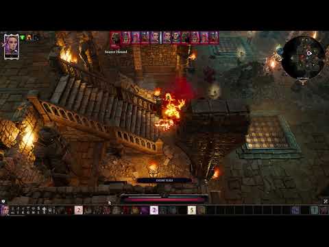 Divinity Original sin 2 DE | Hound master [Solo honour mode]