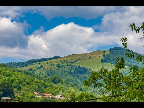 Drumul spre drapelul arborat pe muntele Pleșuva (Comarnic Prahova)