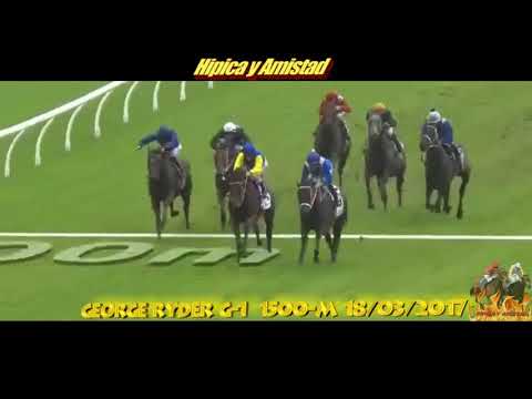 Winx All Wins 2017