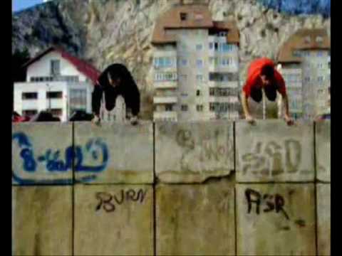 Bounce-Boy vs. Zookey