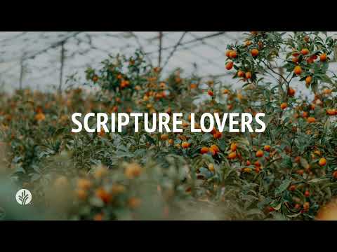 Scripture Lovers | Audio Reading | Our Daily Bread Devotional | August 11, 2024