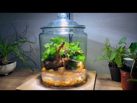 Creating A Waterfall Terrarium In A Jar