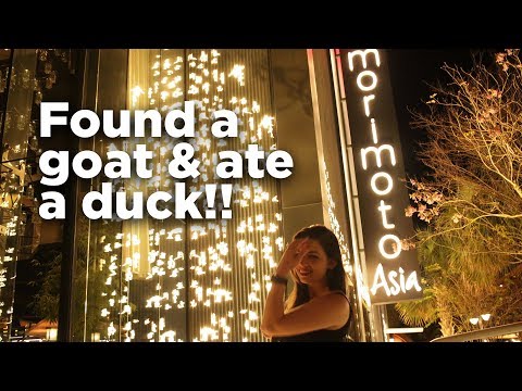 Found a goat & ate a duck! morimoto asia food review @ disney springs