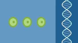 ONCODNA - WHAT IS CANCER ?