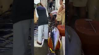 Download lagu Kinamada nanaman #fishing #trending #shortvideo #youtubeshorts #shorts mp3