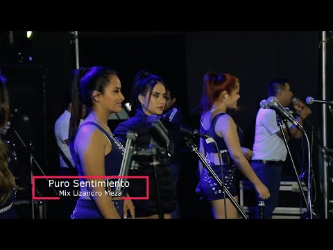 Tributo a Lisandro Meza -  Puro Sentimiento 2019/ Mackley Producciones