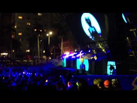 Bassnectar @ Ultra Music Festival 2013 HD