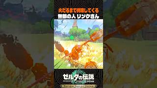 火だるまで特攻してくる無敵の人 リンクさん【ゼルダの伝説 ティアキン】