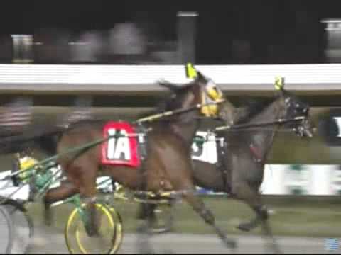 ANNDROVETTE-BLUECHIP MATCHMAKER SERIES  3RD LEG