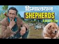 Nomadic Life of Himalayan Shepherds। Uttarakhand। हिमालयी चरवाहों का घुमंतू जीवन। Devbhoomi Dialogue