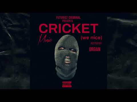 ORGAN, Stige - Cricket (we nice) [NCS Release]