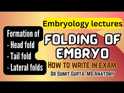 Folding of embryo | General embryology