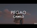 Camilo - Pegao (Letra)