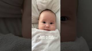 双子の温度差がおもしろい🤣　#双子 #赤ちゃん