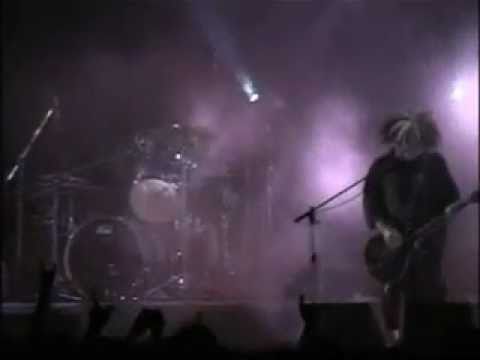 Melvins - amazon+AMAZON (live @ Corregio 2003)
