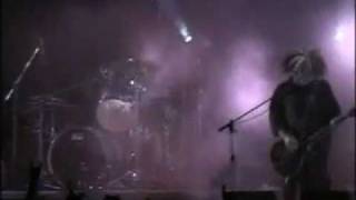 Melvins - amazon+AMAZON (live @ Corregio 2003)