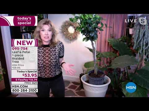 HSN | Ready, Set, Grow! Featuring Leaf & Petal Designs Anniversary 03.12.2021 - 12 AM