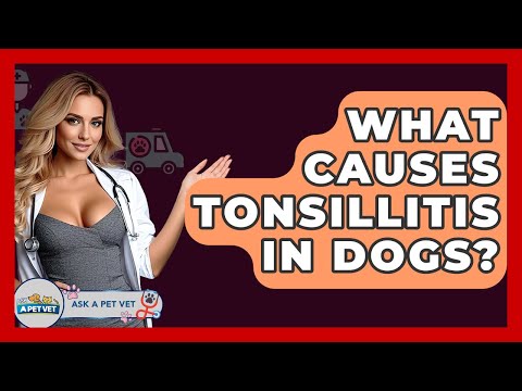 What Causes Tonsillitis In Dogs? - Ask A Pet Vet